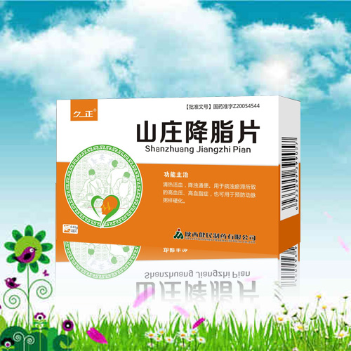 山莊降脂片 山莊降脂片