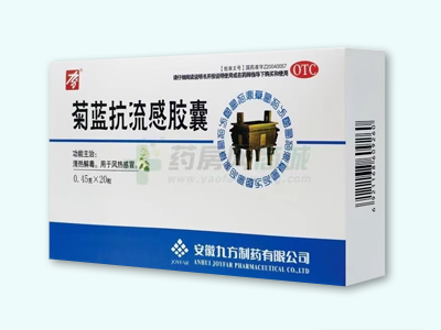 菊藍抗流感膠囊