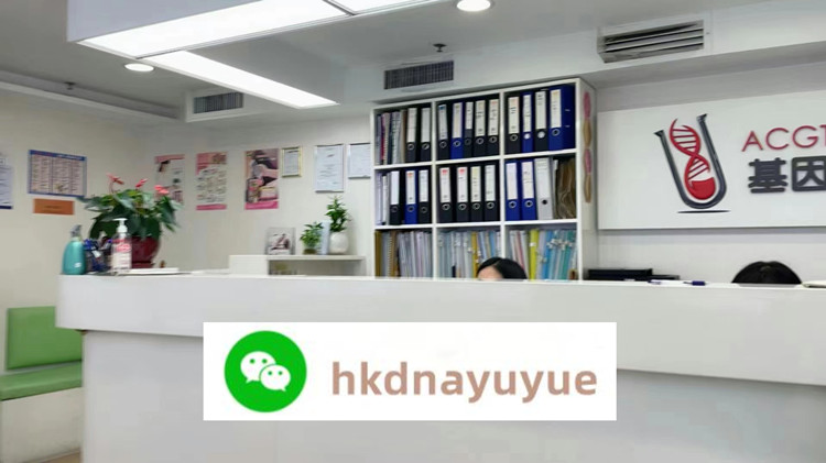 中介怎么帶血液過香港