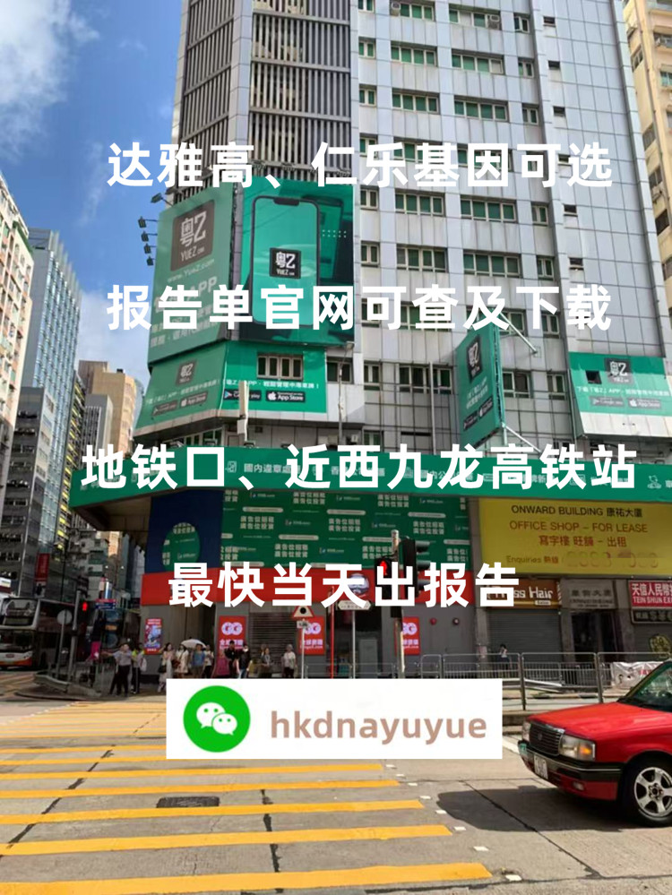 2025香港查血