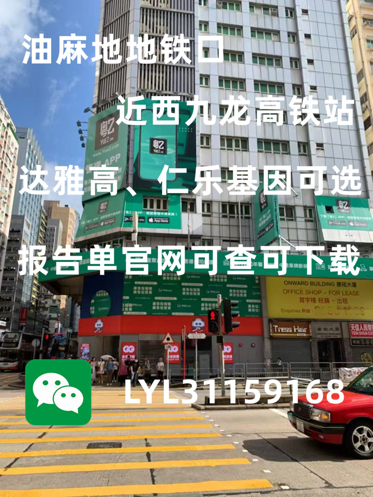 香港查血中介信得過嗎？