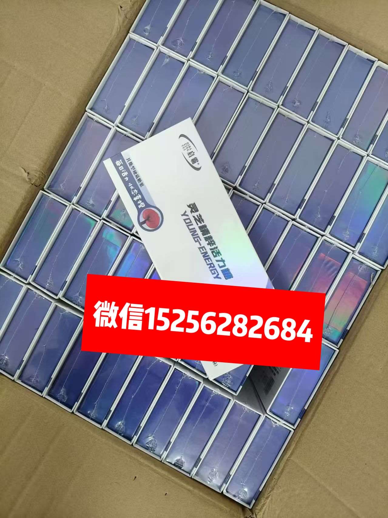 啟霸靈芝精粹活力糖真.